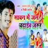 About Sawan Me Jal Chadhaib Jarur Song